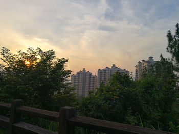 Trees and cityscape against sky during sunset