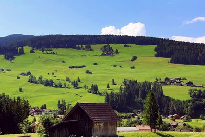 Scenic view of trees and houses against sky