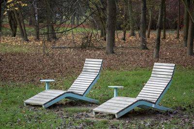 Empty bench in park