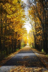 Road amidst trees during autumn