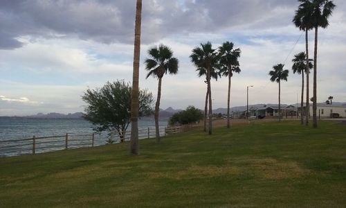 Palm trees on beach against cloudy sky