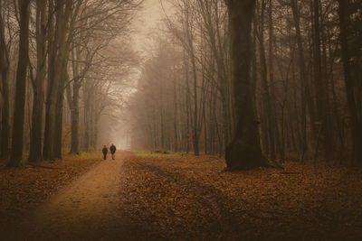 People walking in winter forest