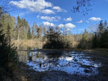 Scenic view of lake in forest against sky