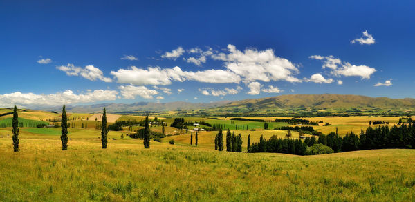 Scenic view of agricultural field against sky