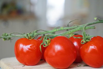 Close-up of tomatoes on cutting board