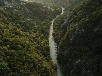 High angle view of waterfall amidst trees in forest