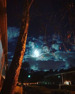 Low angle view of illuminated tree against buildings at night