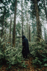 Rear view of woman standing by trees in forest