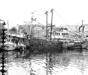 Boats in harbor