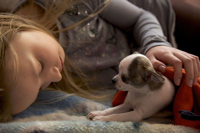 Close-up of dog lying on bed