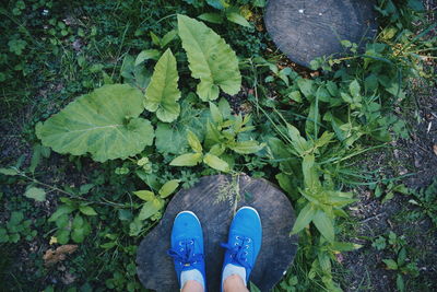 Low section of man standing on tree stump