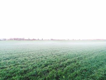 Scenic view of field against clear sky