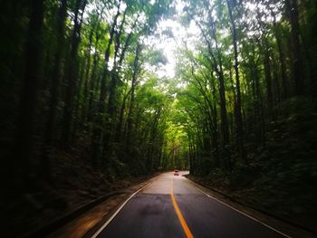 Road amidst trees in forest