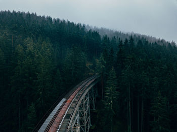 High angle view of bridge amidst forest