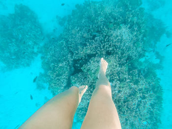 Low section of woman swimming in sea