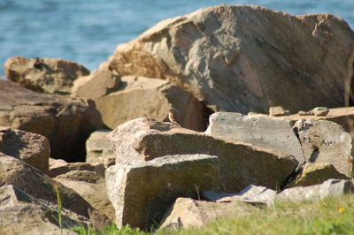 Close-up of stone wall