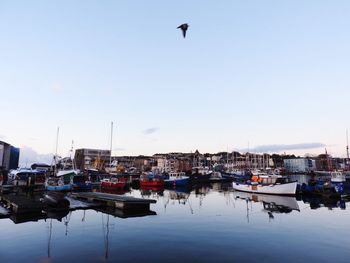 Boats in harbor