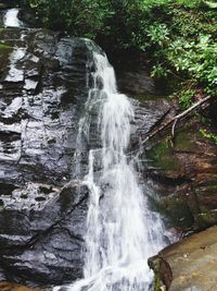 View of waterfall in forest