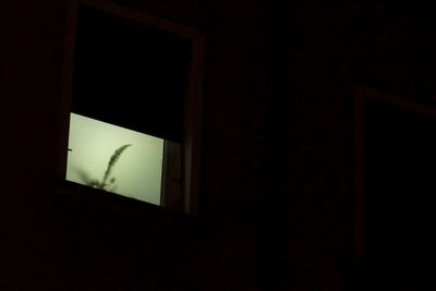 View of the dark