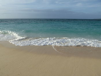 Scenic view of beach