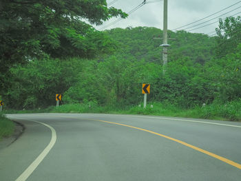 Rear view of person on road by trees