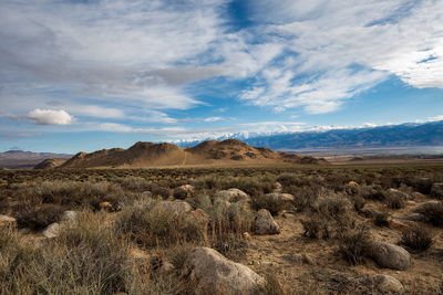 Scenic view of field against sky