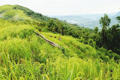 Scenic view of green landscape and mountains against sky