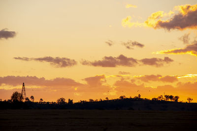 Silhouette trees on field against sky during sunset