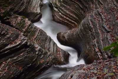 Scenic view of waterfall in forest