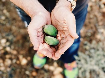 Close-up of man holding fruit