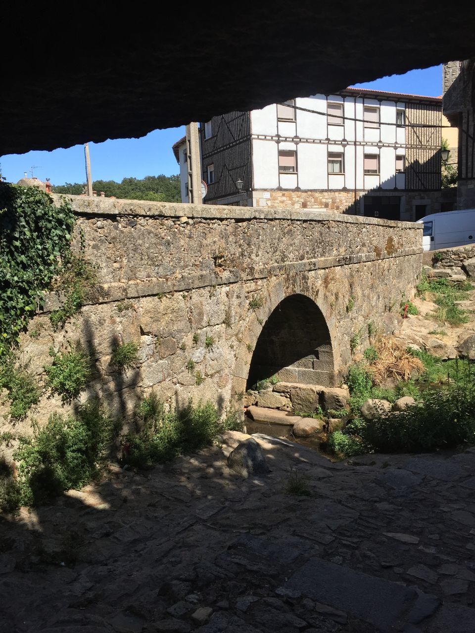 architecture, built structure, arch, day, building exterior, no people, plant, outdoors, bridge - man made structure, tree, nature, sky