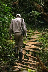 Rear view of man walking in forest