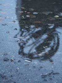 Close-up of wet road in puddle during rainy season