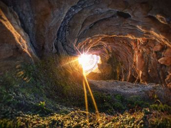 Close-up of cave