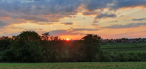 Scenic view of field against sky during sunset