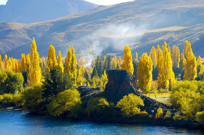 Scenic view of lake by trees against sky