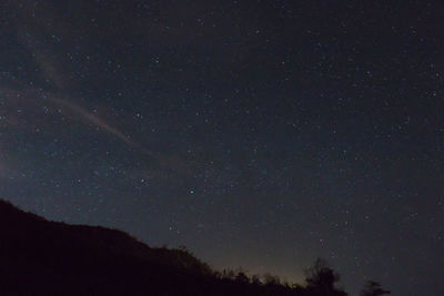 Low angle view of star field against sky at night