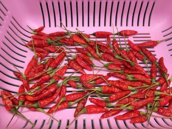 High angle view of red chili peppers in plate