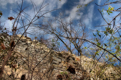 Low angle view of bare trees against sky