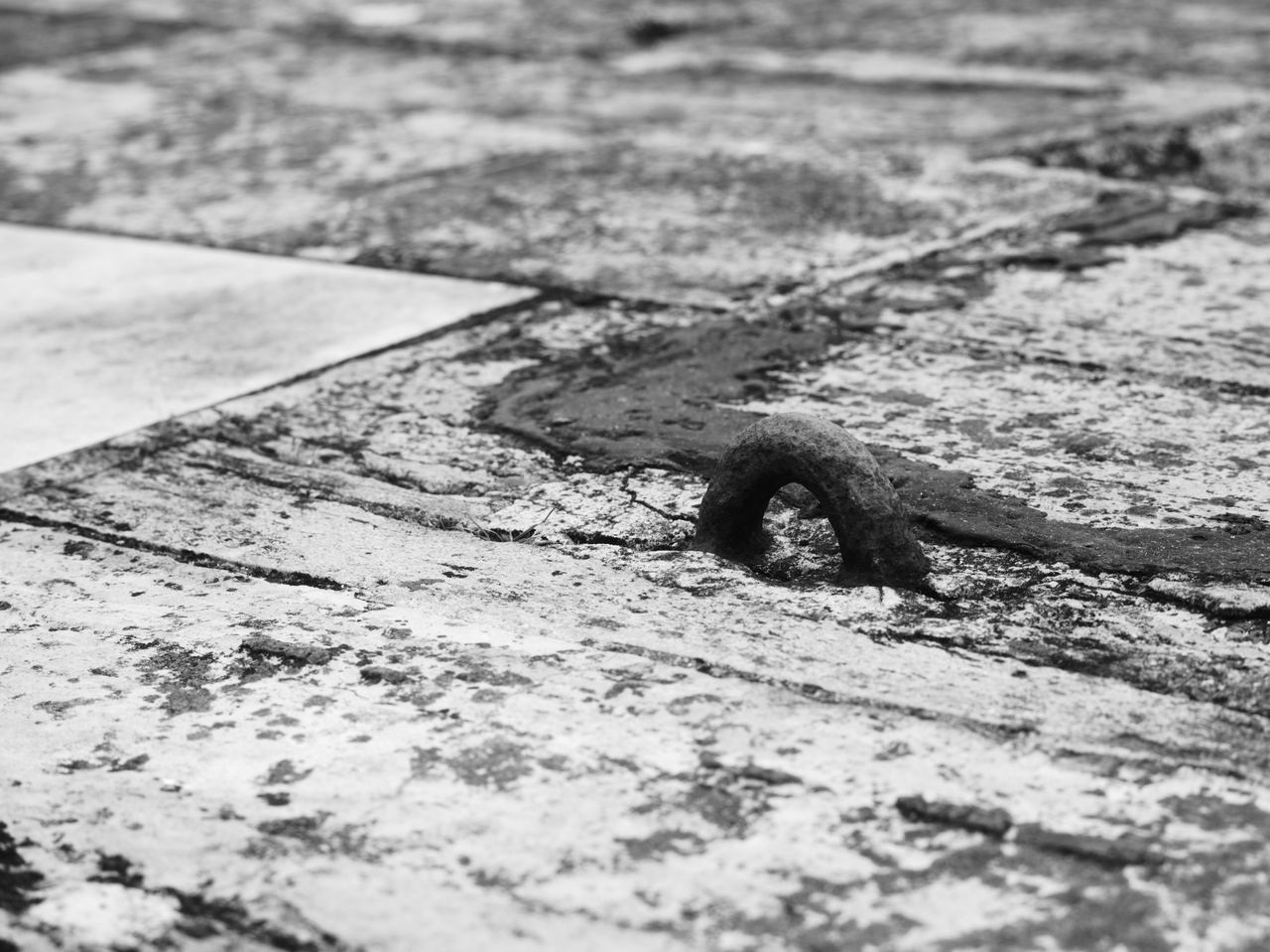 HIGH ANGLE VIEW OF DAMAGED WOOD