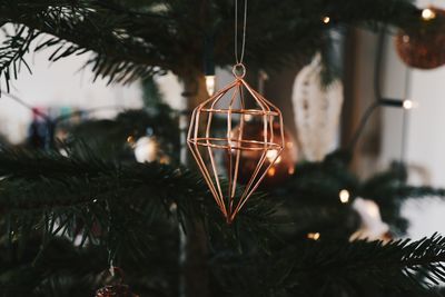 Close-up of illuminated christmas tree at night