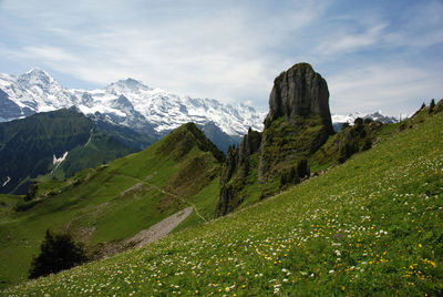 Scenic view of landscape against sky