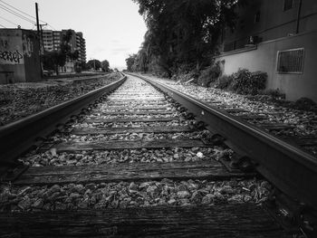 Railway tracks along trees