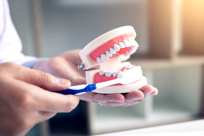 Cropped image of dentist brushing dentures in clinic