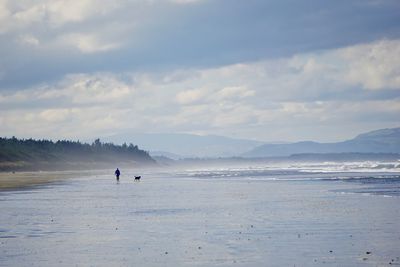 Man walking dog on beach against sky