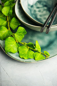 High angle view of leaves in bowl on table