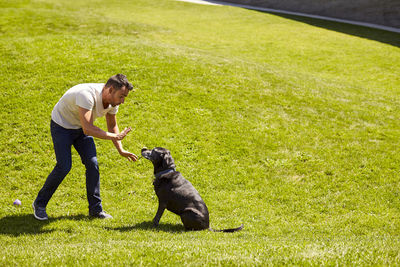 A man training his dog.