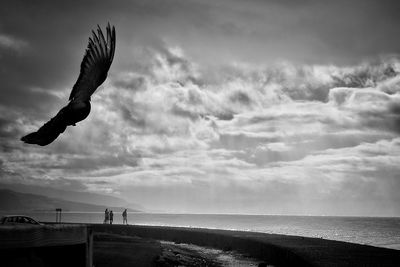 Seagulls flying over sea against sky