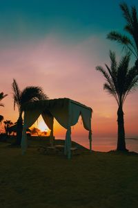 Silhouette palm trees on beach against sky during sunset