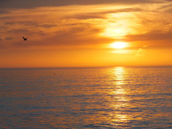 Scenic view of sea at sunset